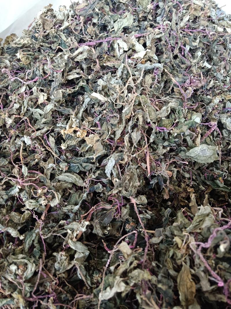 紫杆绿叶风柜斗草不带根採嫩条晒干，无杂质直接泡茶，有现货