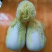 大娃娃菜苗小娃娃菜苗大娃小娃种苗黄心娃娃菜苗包回收