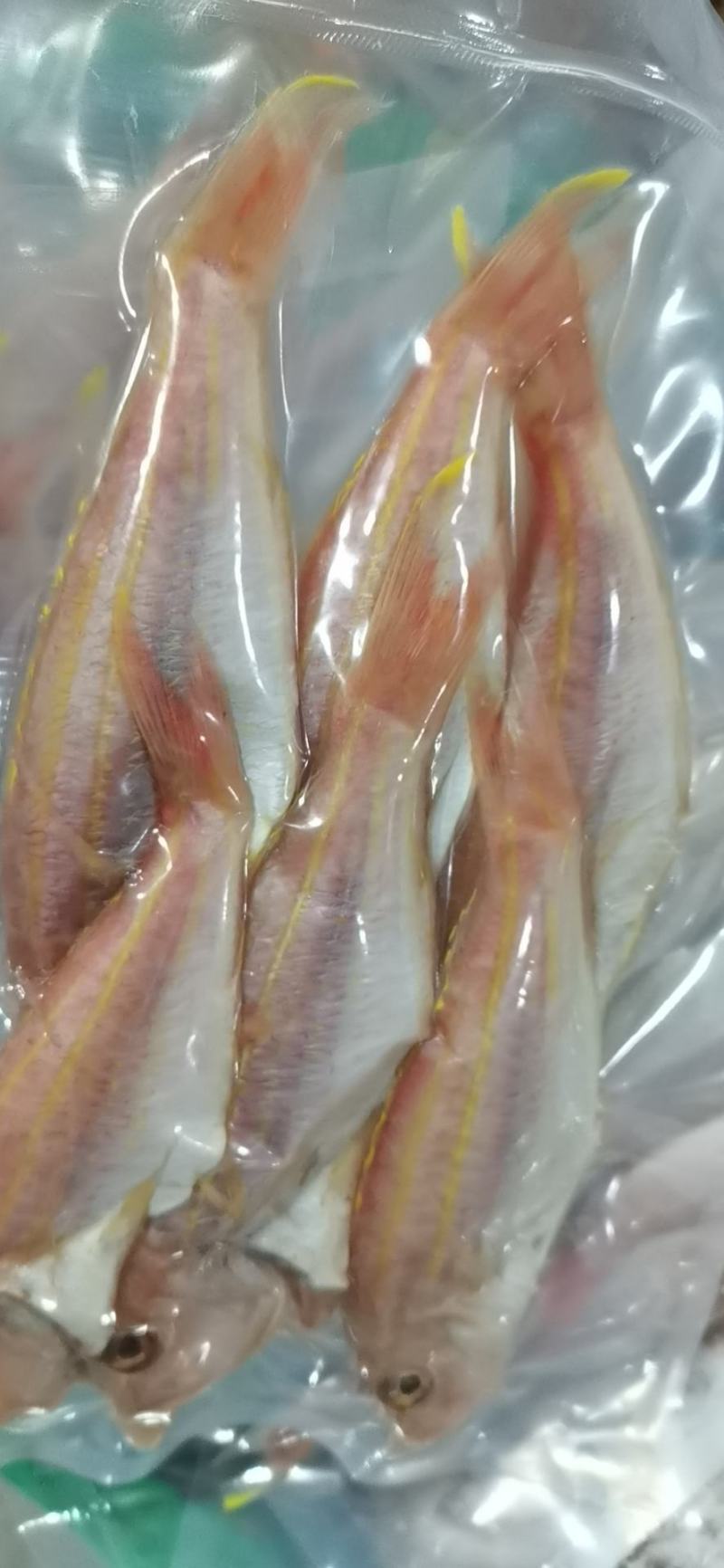 淡晒刀鲤红杉鱼干金丝鱼干货源充足，现做现卖，新鲜美味