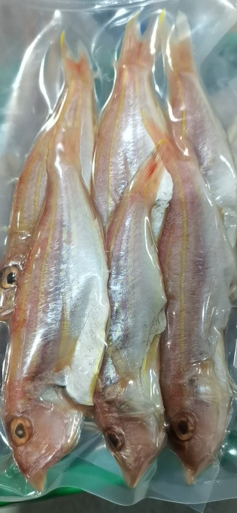 淡晒刀鲤红杉鱼干金丝鱼干货源充足，现做现卖，新鲜美味