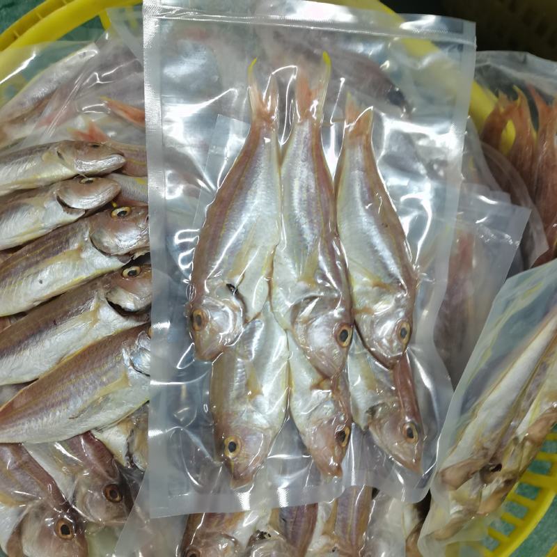 淡晒刀鲤红杉鱼干金丝鱼干货源充足，现做现卖，新鲜美味