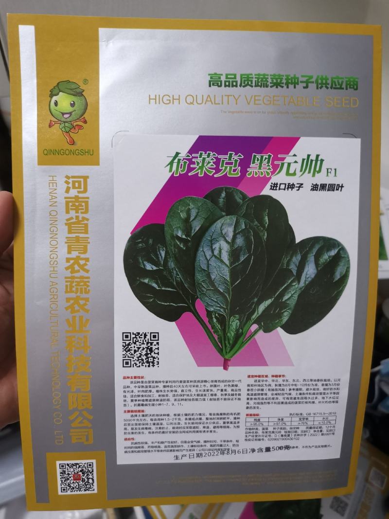 半直立和趴地菠菜种子耐寒性好产量高更叶片油亮厚实口感佳