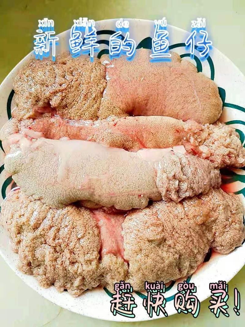 精品速冻鲤鱼籽一手货源视频看货品质保证量大从优