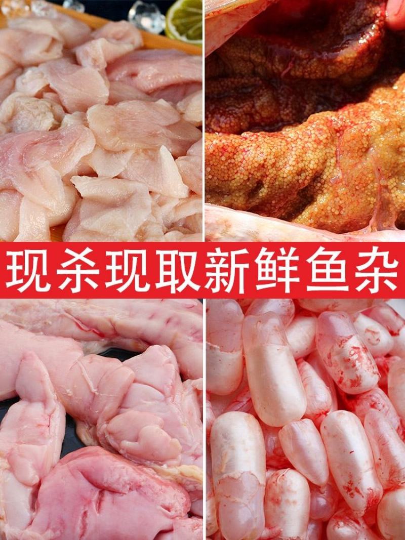 精品速冻鲤鱼籽一手货源视频看货品质保证量大从优