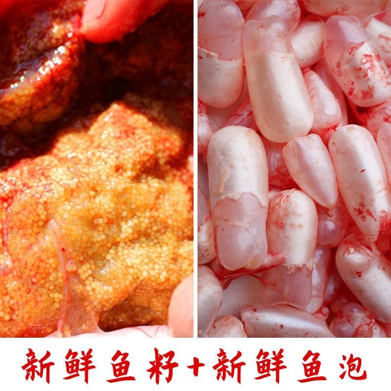 鱼鰾精品鱼鰾厂家直销一手货源视频看货质量保证