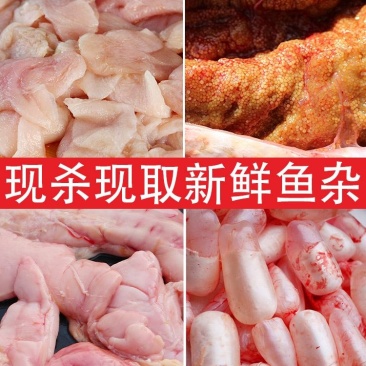鱼鰾精品鱼鰾厂家直销一手货源视频看货质量保证