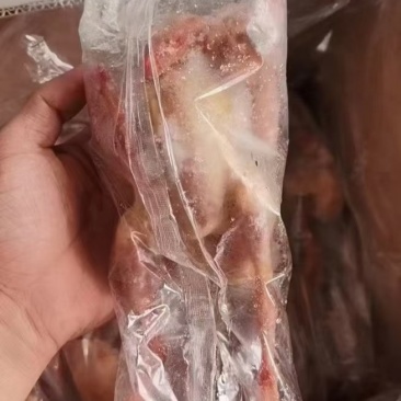 鸽子