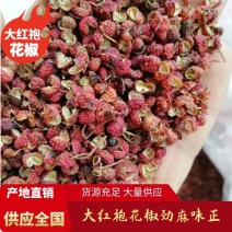 济南莱芜大红袍花椒，货量充足劲麻味正欢迎咨询