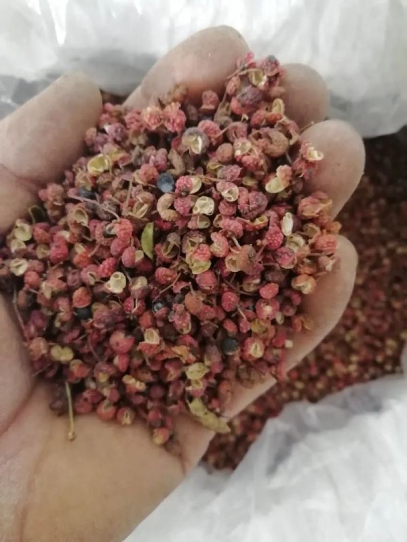 济南莱芜大红袍花椒，货量充足劲麻味正欢迎咨询