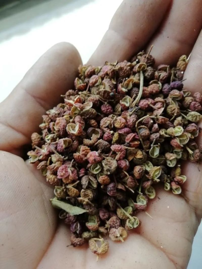 济南莱芜大红袍花椒，货量充足劲麻味正欢迎咨询