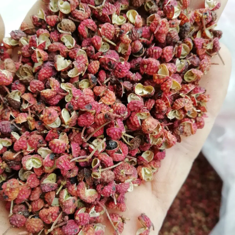 济南莱芜大红袍花椒，货量充足劲麻味正欢迎咨询