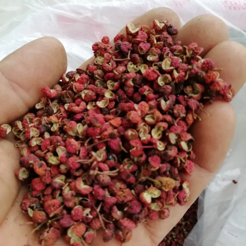 济南莱芜大红袍花椒，货量充足劲麻味正欢迎咨询