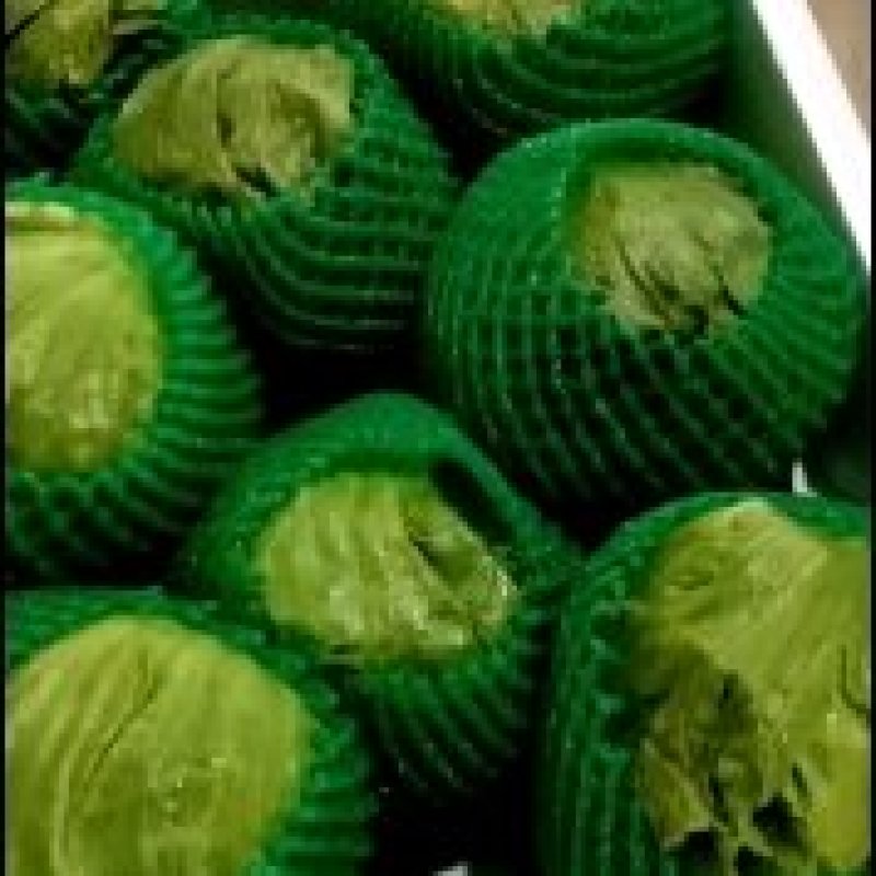 坝上精品球生菜，质量好，价格优。支持全国发货