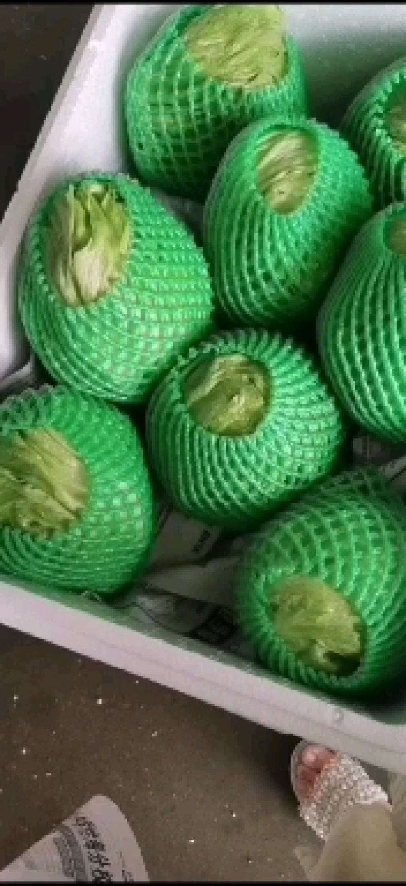 坝上精品球生菜，质量好，价格优。支持全国发货
