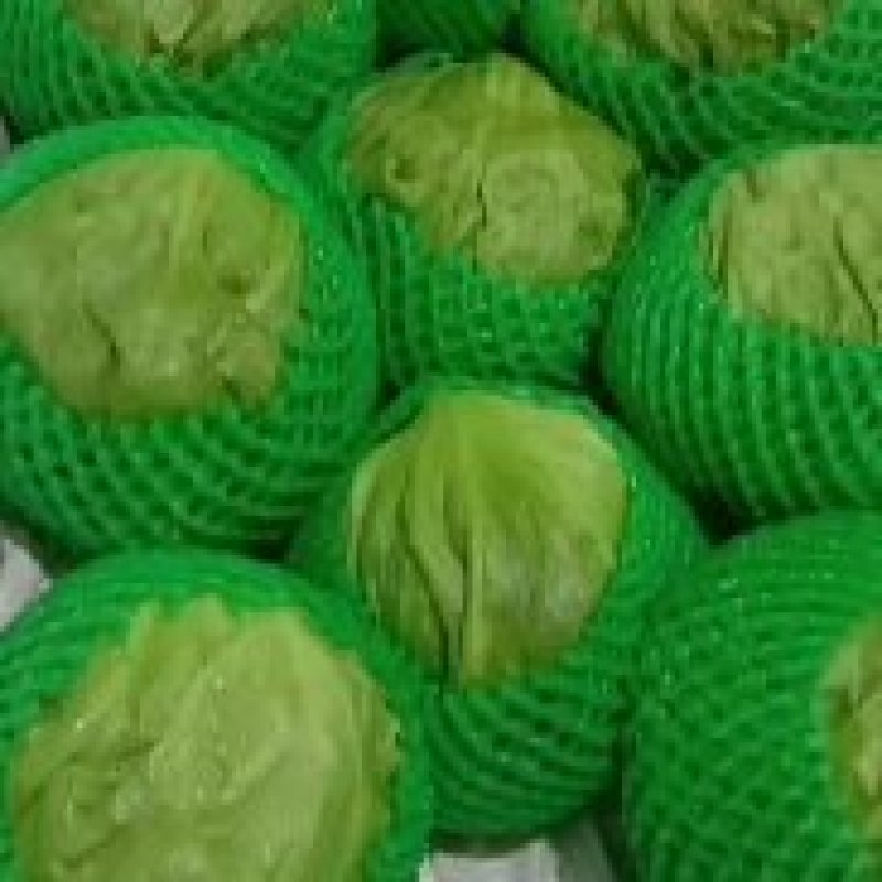 坝上精品球生菜，质量好，价格优。支持全国发货