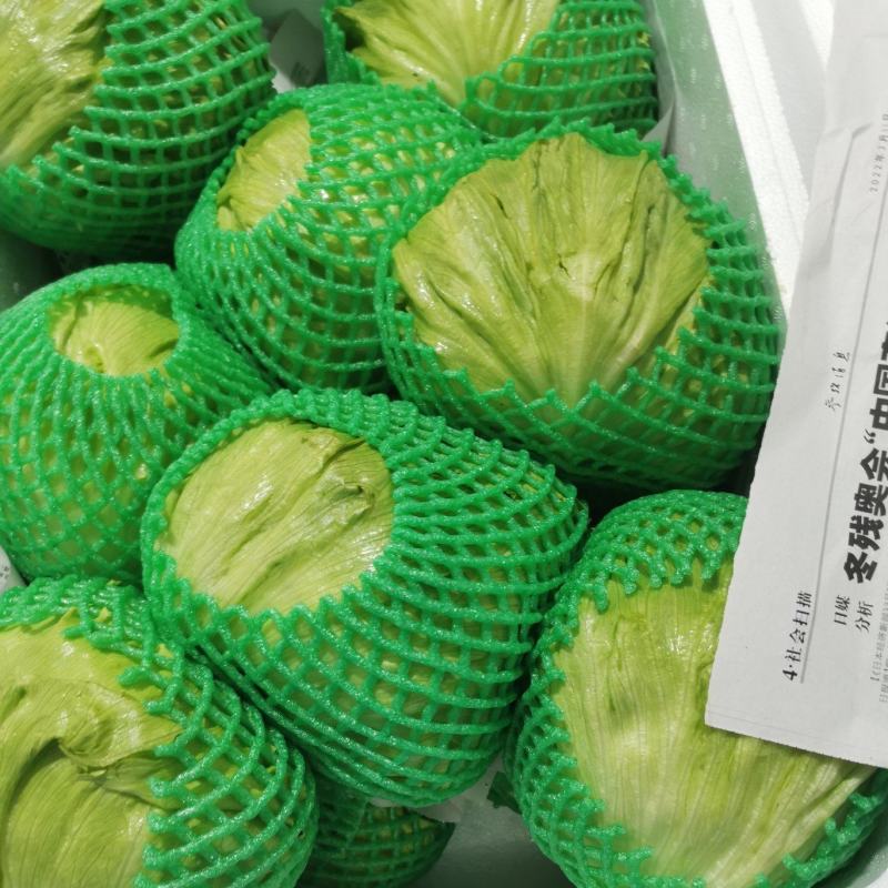 坝上精品球生菜，质量好，价格优。支持全国发货