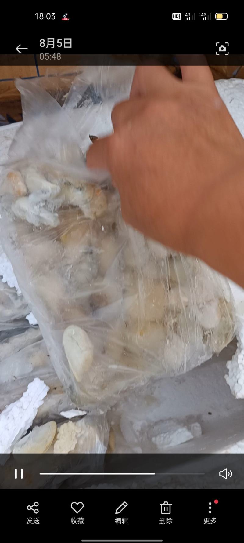 这里是河北唐山丰南区，螃蟹还有20天就上市了，先睹为快。