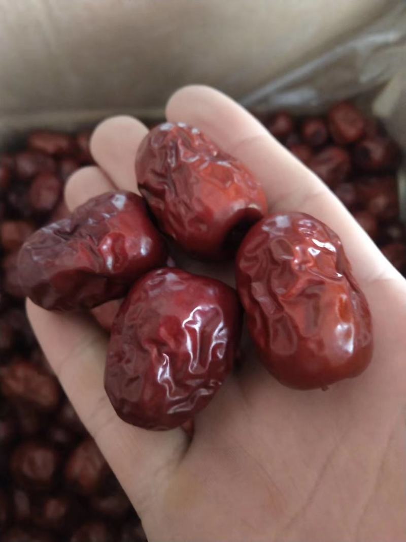 陕北大枣黄河滩枣自然风干产地大量供应代办代发