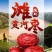 陕北大枣黄河滩枣自然风干产地大量供应代办代发