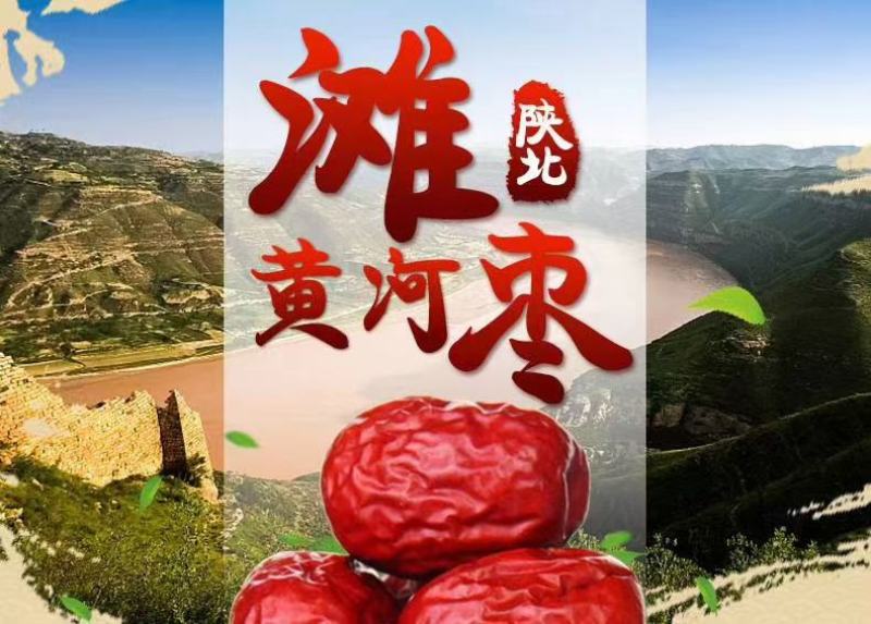陕北大枣黄河滩枣自然风干产地大量供应代办代发