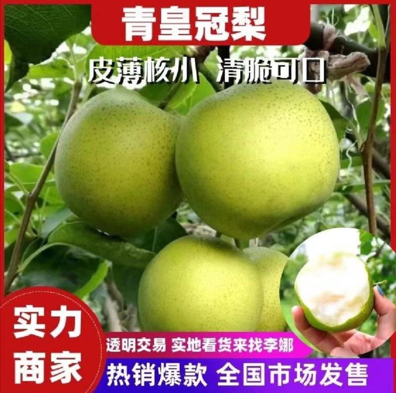 河北绿皮皇冠梨产地直发口感细甜可对接市场电商批发