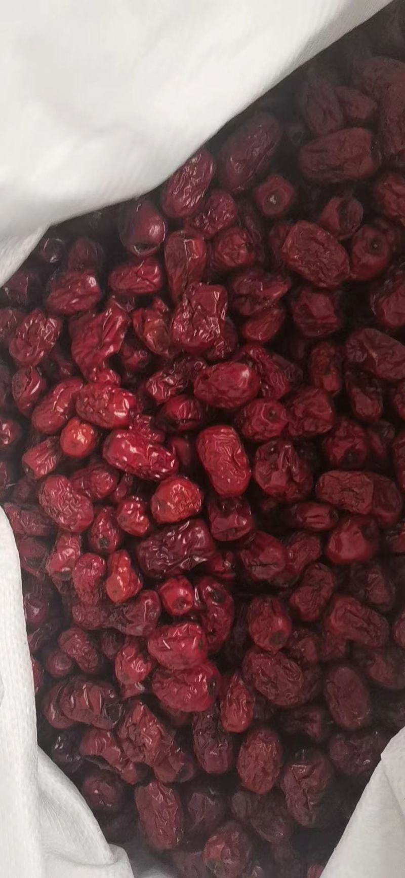 陕北大枣黄河滩枣自然风干产地大量供应代办代发
