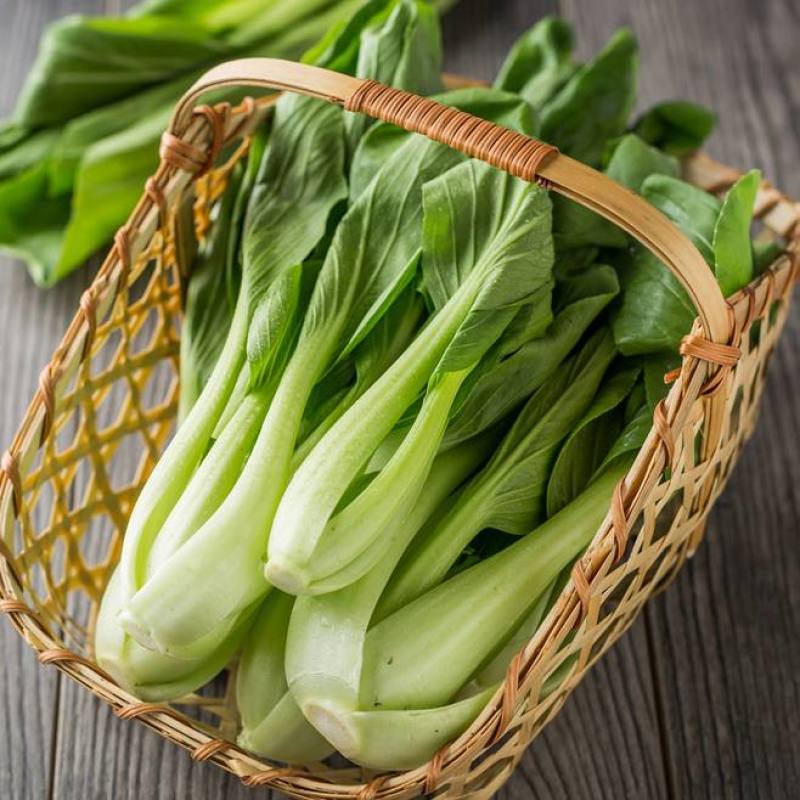 神禾长菘不老菜青梗菜种子四季播鸡毛菜种籽小青菜小白菜种籽