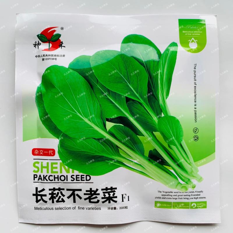 神禾长菘不老菜青梗菜种子四季播鸡毛菜种籽小青菜小白菜种籽