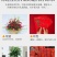 招财大象摆件大号一对客厅电视酒柜装饰品创意可爱礼品风水象