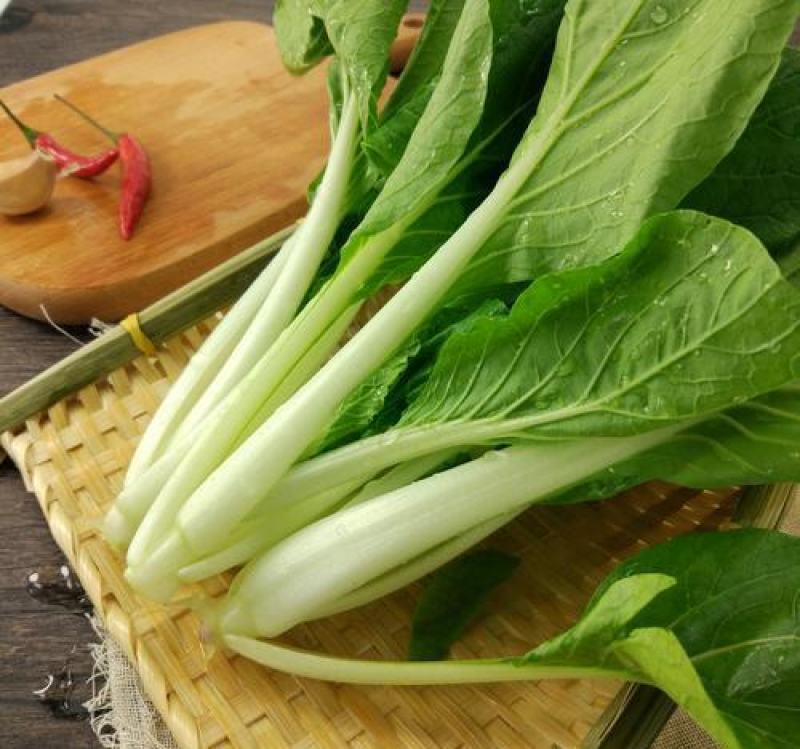 德高天鹅白甜心种子青菜种籽耐热耐雨水好吃白杆鸡毛菜小菜秧