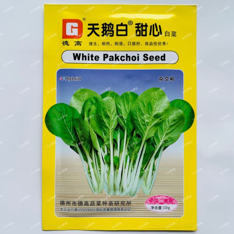 德高天鹅白甜心种子青菜种籽耐热耐雨水好吃白杆鸡毛菜小菜秧