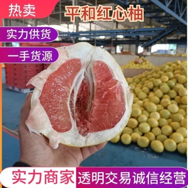 【正宗】琯溪蜜柚平和红心柚很甜很好吃基地直发