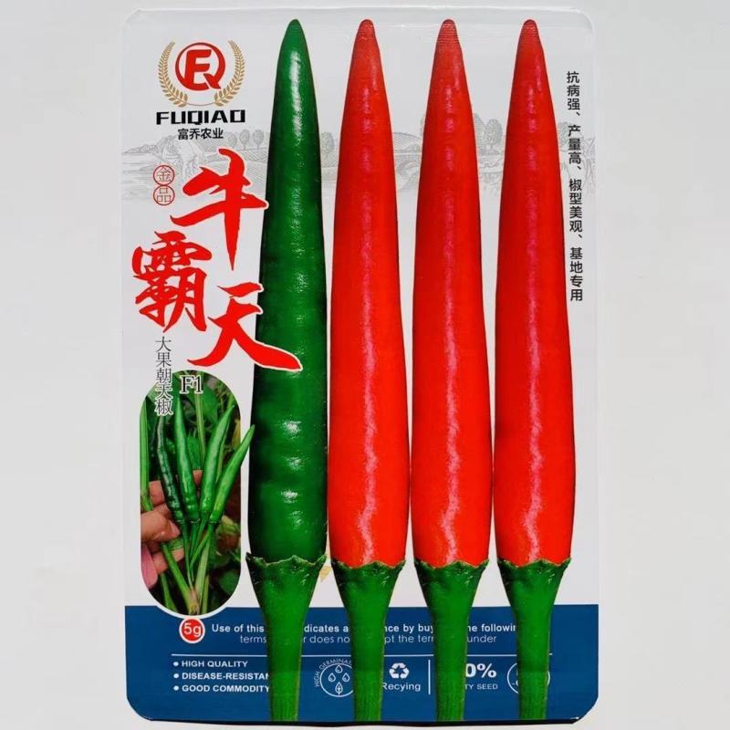 牛霸天朝天椒种子1000粒