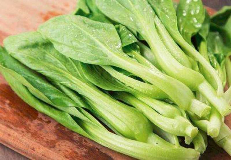 秀青1号鸡毛菜种子青梗菜小白菜早熟耐寒抗旱四季