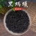野生黑蚂蚁蚂蚁红蚂蚁泡酒用蚂蚁药用野生蚂蚁