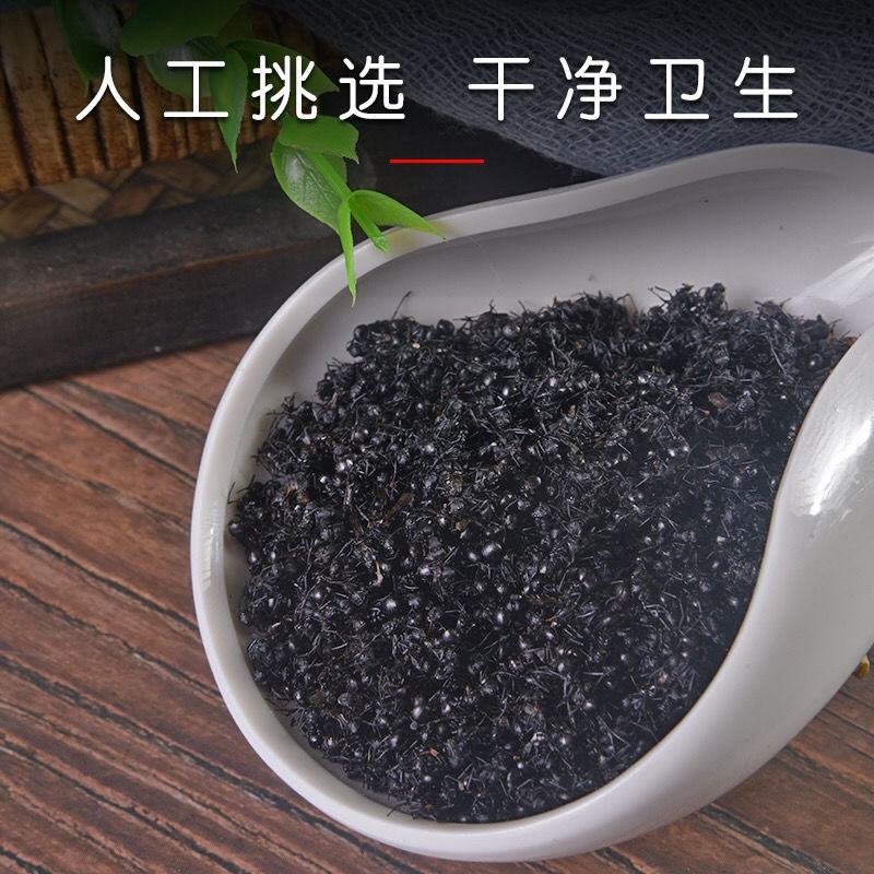 野生黑蚂蚁蚂蚁红蚂蚁泡酒用蚂蚁药用野生蚂蚁
