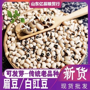 白眉豆白豇豆黑眼眉豆江豆黑嘴眉食品原料现货批发