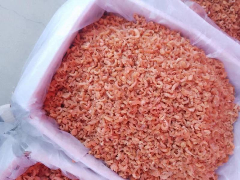 山东滨州虾仁量大优惠批发零售现货现发质量保证