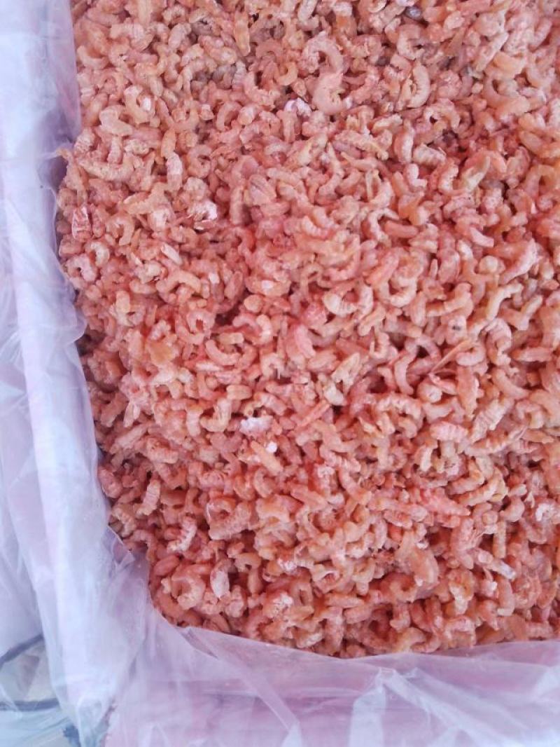 山东滨州虾仁量大优惠批发零售现货现发质量保证