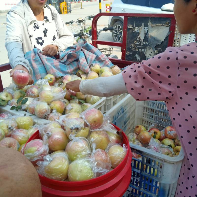 苹果，嘎啦苹果，红富士苹果，