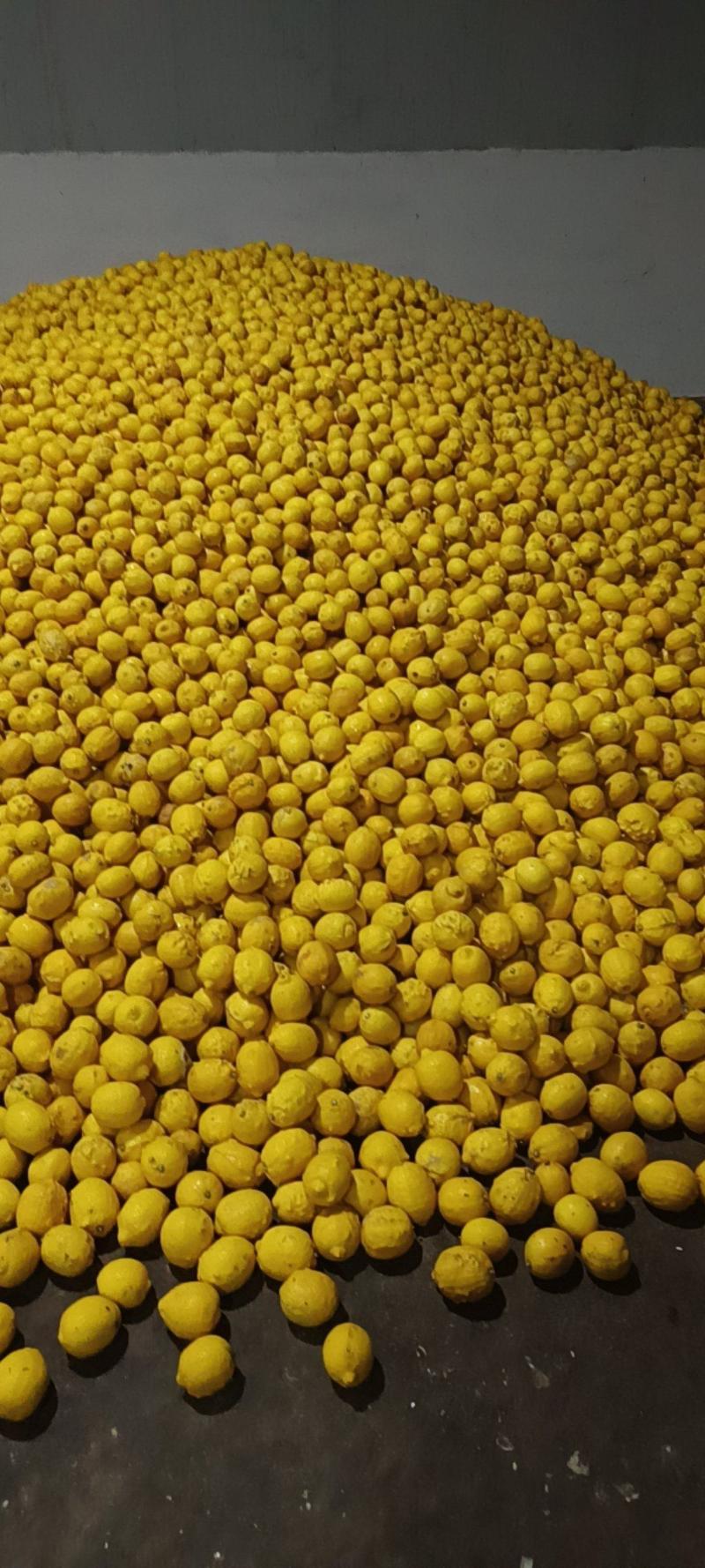 安岳黄柠檬，批发，零售，一件代发，产地直供