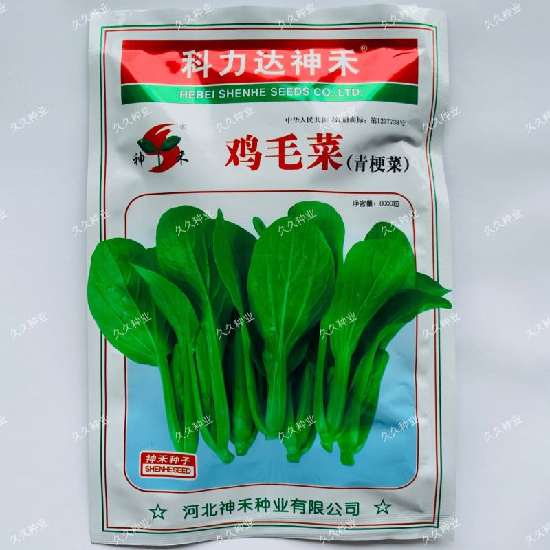 青梗菜种子神禾鸡毛菜高产抗病抗热耐雨耐贮运秋播优质小青菜