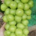 阳光玫瑰