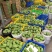 预售四季蜜芒！6月28号上市啦