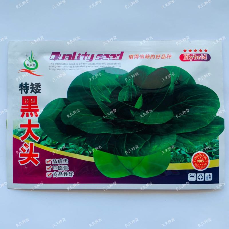 特矮黑大头青梗菜种子耐热抗病南方北方田园春夏秋冬季播蔬菜