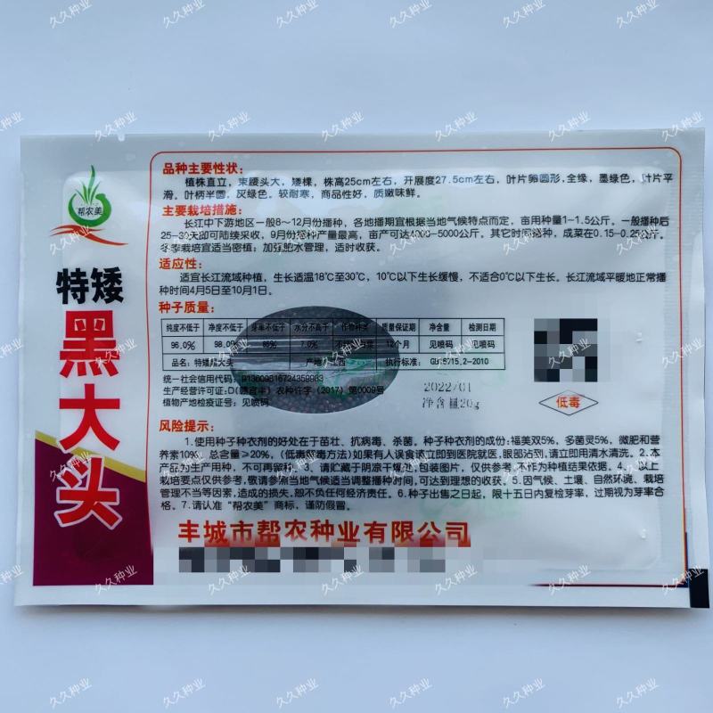 特矮黑大头青梗菜种子耐热抗病南方北方田园春夏秋冬季播蔬菜