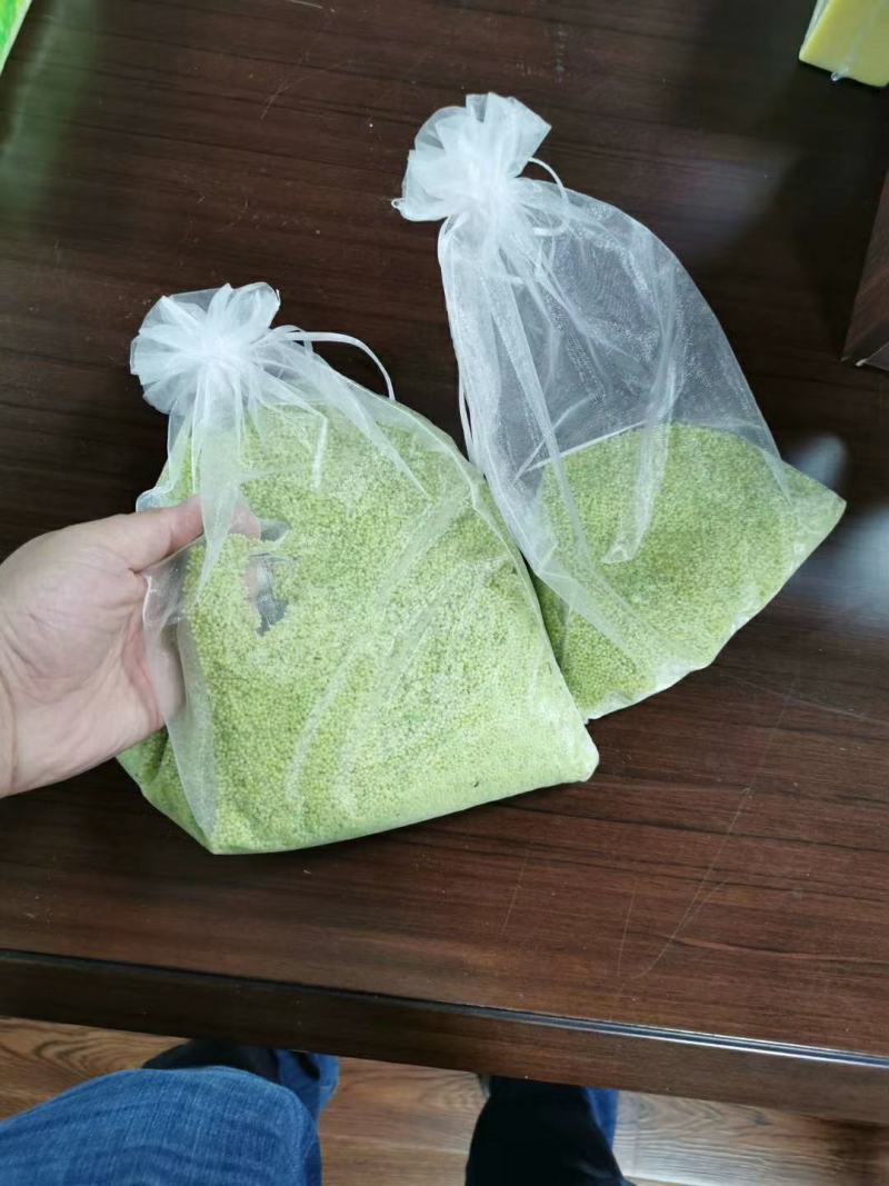 山东盛达菌业供豆丹卵包教养殖技术，量大包收。