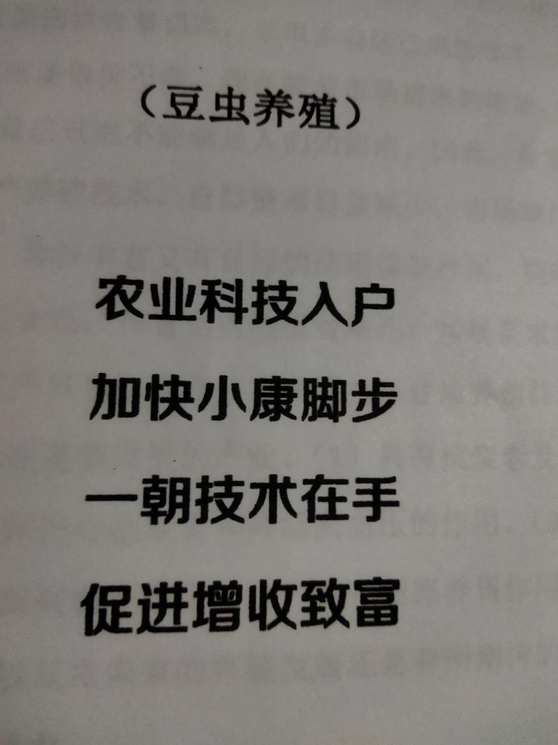 山东盛达菌业供豆丹卵包教养殖技术，量大包收。