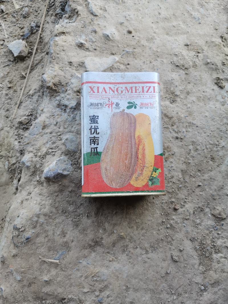 冬瓜，南瓜