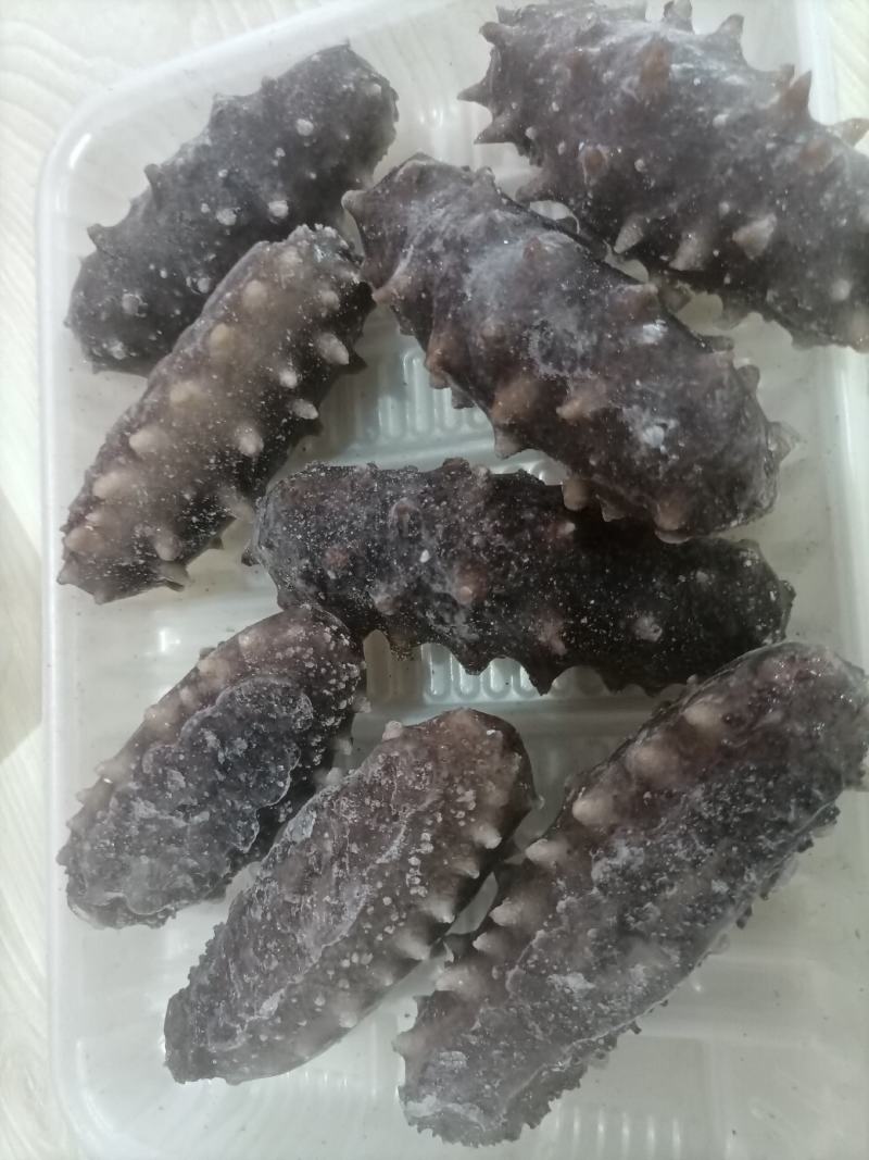 即海参